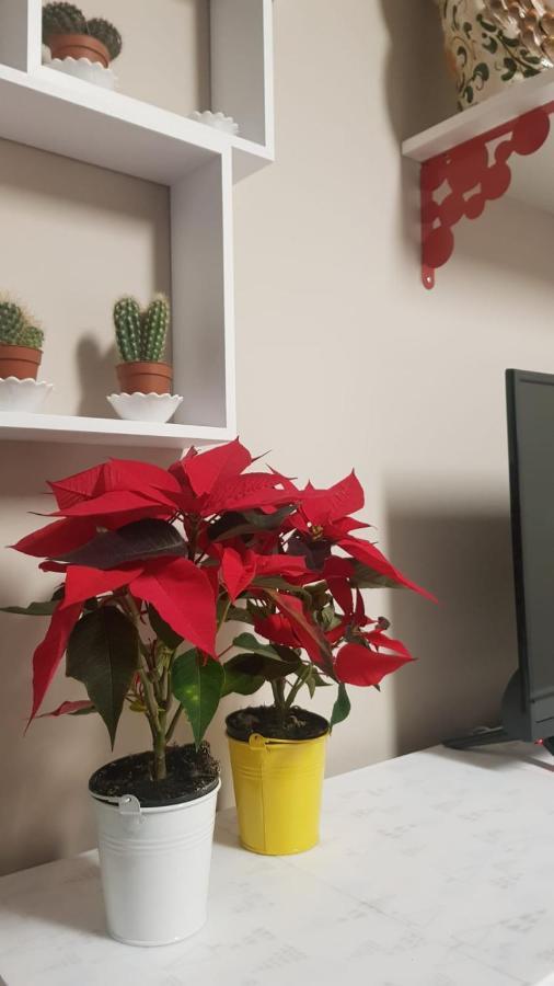 Apartamento La Terrazza Di Leda CTA Exterior foto